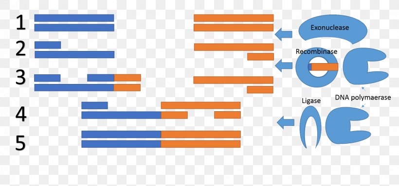 Graphic Design Brand Web Analytics Organization, PNG, 1939x908px, Brand, Analytics, Area, Blue, Diagram Download Free