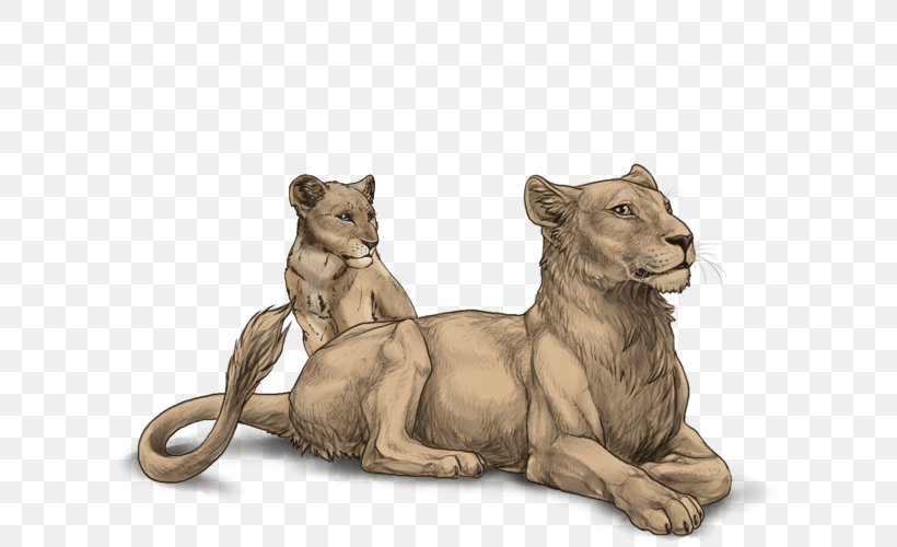 Lion Leopon Melanism Leopard Felidae, PNG, 640x500px, Lion, Animal, Big Cats, Carnivoran, Cat Like Mammal Download Free