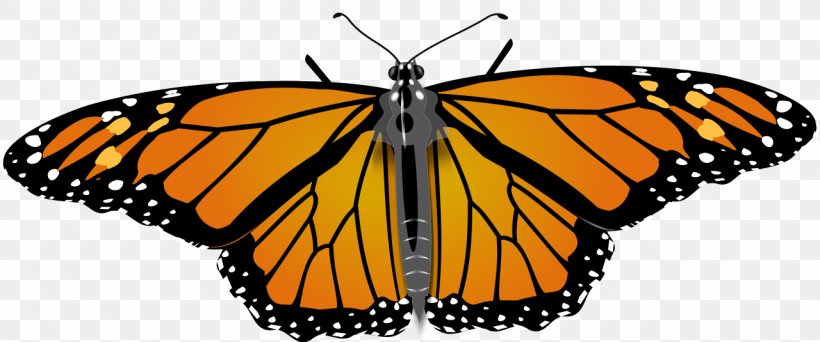 Monarch Butterfly Drawing Clip Art, PNG, 1280x535px, Butterfly, Animal Migration, Arthropod, Baltimore Checkerspot, Brush Footed Butterfly Download Free