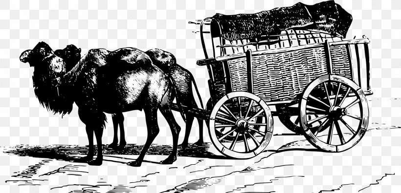 Camel Drawing Horse Clip Art, PNG, 2400x1161px, Camel, Black And White, Carriage, Cart, Cattle Like Mammal Download Free