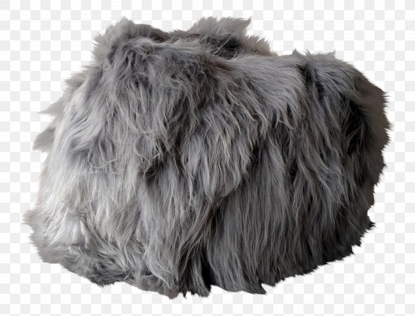 Fur Snout Grey, PNG, 4048x3083px, Fur, Fur Clothing, Grey, Snout Download Free