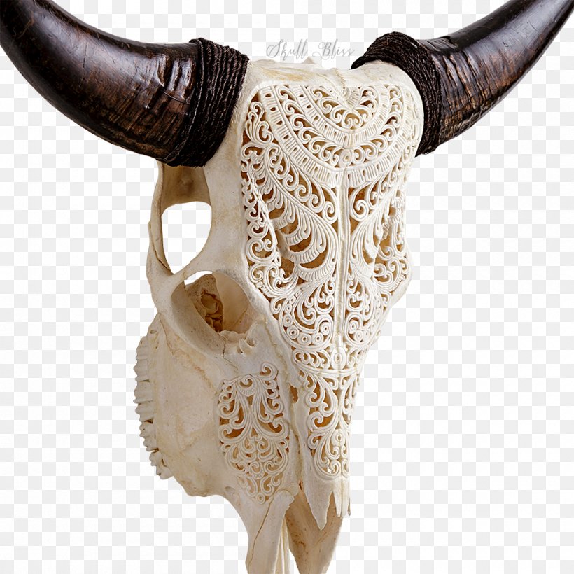 Shorthorn Skull Sahiwal Cattle Goat, PNG, 1000x1000px, 2017, Horn, Animal, Bone, Cattle Download Free