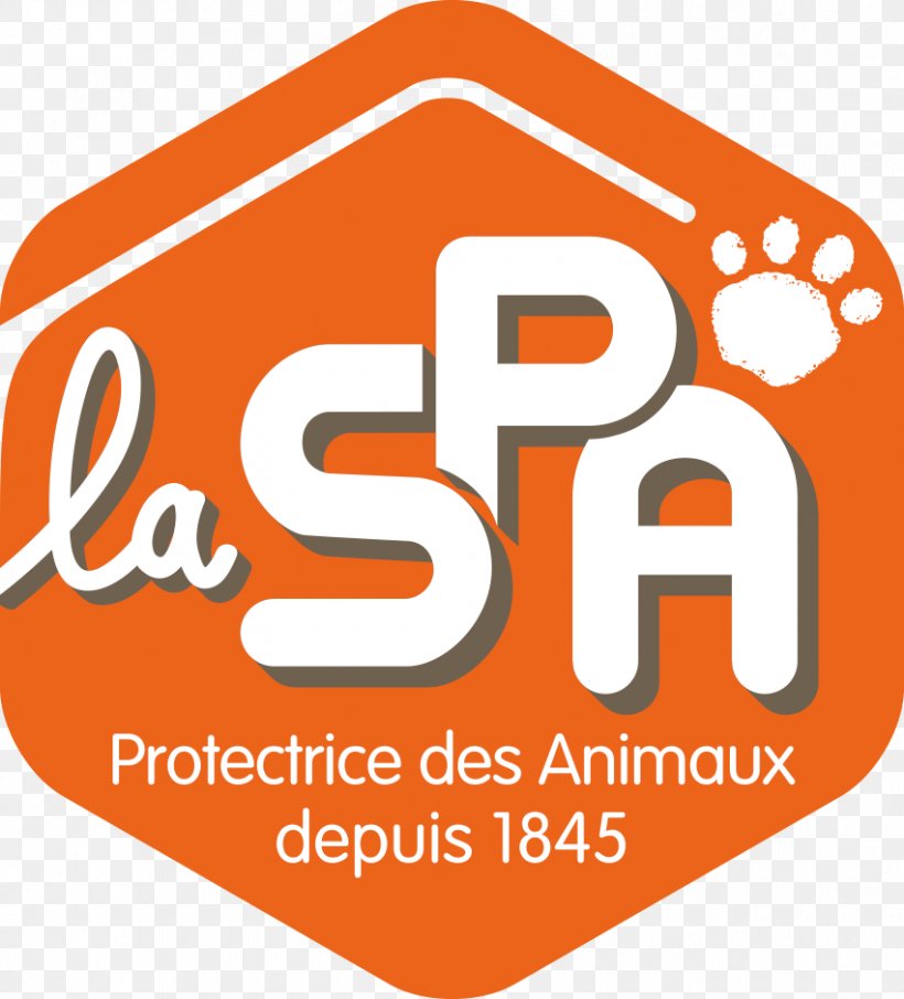 Société Protectrice Des Animaux Dispensary SPA Marseille Animal Shelter Cat SPA Chamarande, PNG, 851x941px, Animal Shelter, Area, Brand, Cat, Dog Download Free