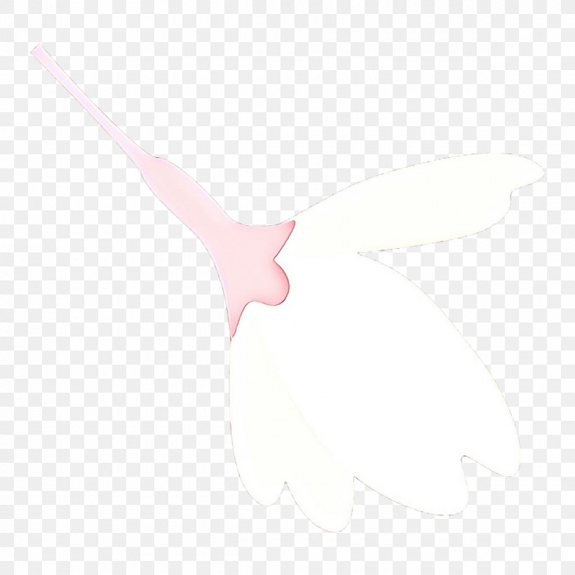 White Pink Wing Logo, PNG, 1200x1200px, White, Logo, Pink, Wing Download Free
