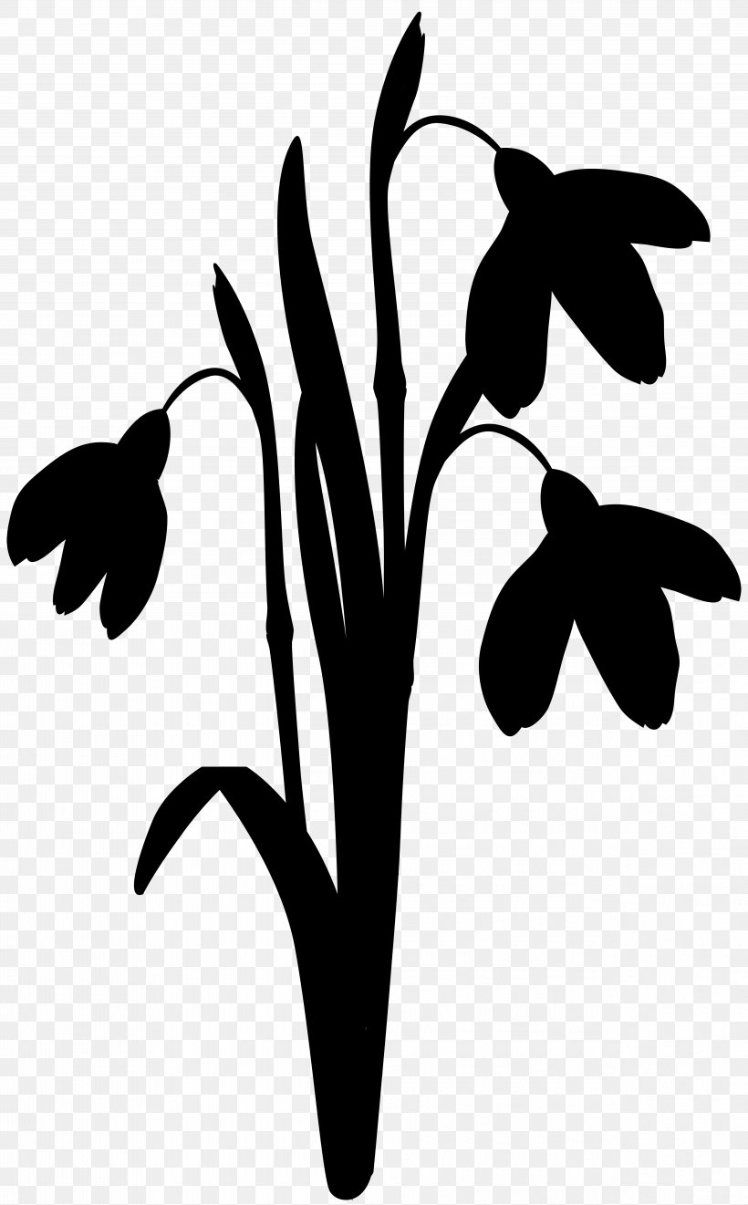 Clip Art Leaf Silhouette Line Plant Stem, PNG, 4965x8000px, Leaf, Blackandwhite, Botany, Branch, Flower Download Free