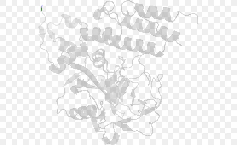 H&M Pattern, PNG, 553x500px, Branching, Black, Black And White, Branch, Hand Download Free