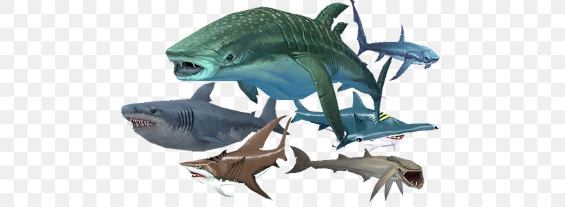 Tiger Shark Hungry Shark Evolution Hungry Shark World World Of Warcraft: Wrath Of The Lich King, PNG, 485x300px, Tiger Shark, Cartilaginous Fish, Fauna, Fish, Great White Shark Download Free