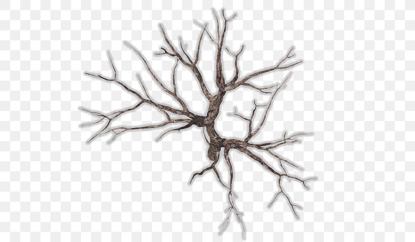 Twig Tree Snag Branch Wood, PNG, 640x480px, Twig, Black And White, Branch, Digital Media, Leaf Download Free