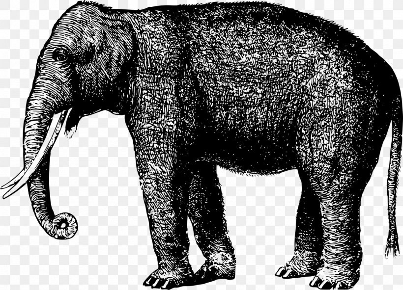 Elephantidae Animal Mammal Clip Art, PNG, 1280x923px, Elephant, African Elephant, Animal, Black And White, Drawing Download Free