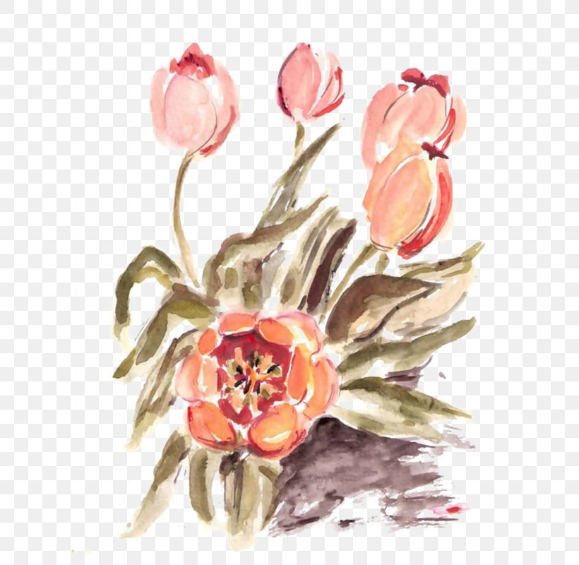 Flower Art Watercolor, PNG, 800x800px, Tulip, Cut Flowers, Drawing, Floral Design, Floristry Download Free