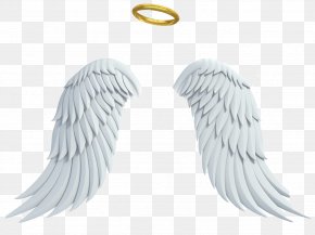 Featured image of post Angel Halo Png Free