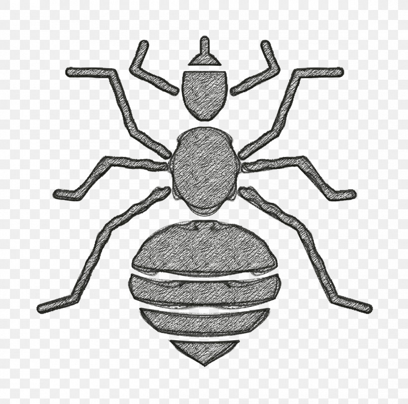 Insects Icon Louse Icon, PNG, 1160x1148px, Insects Icon, Arachnid, Darkling Beetles, Insect, Louse Icon Download Free