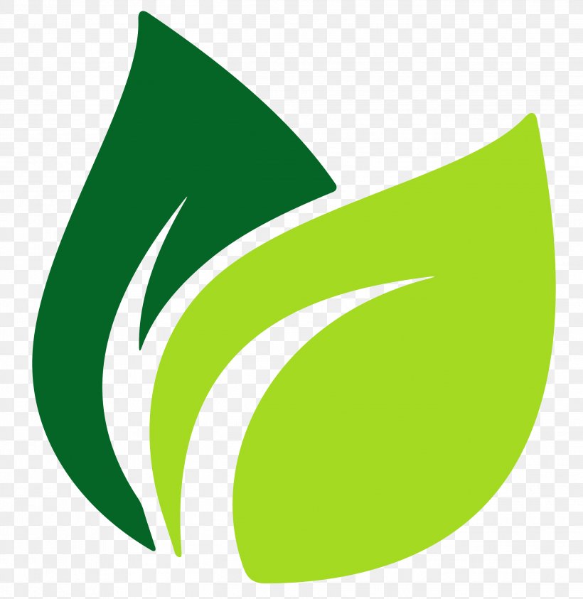 Leaf Logo, PNG, 2701x2778px, Leaf, Brand, Grass, Green, Leaf Vegetable Download Free