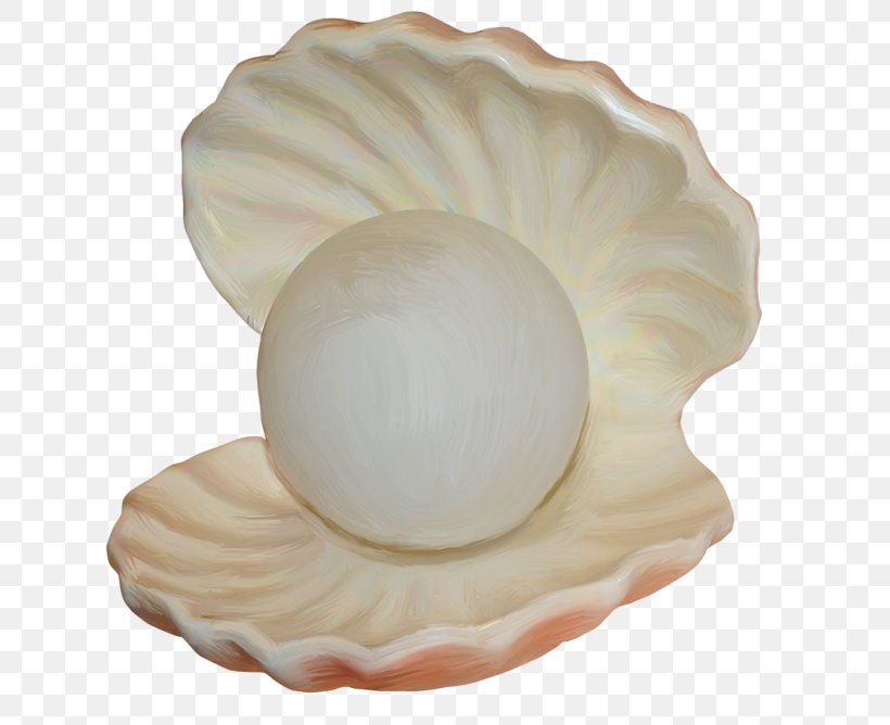 Seashell Mollusc Shell Molluscs Clip Art, PNG, 650x668px, Seashell, Conch, Dishware, Invertebrate, Mollusc Shell Download Free