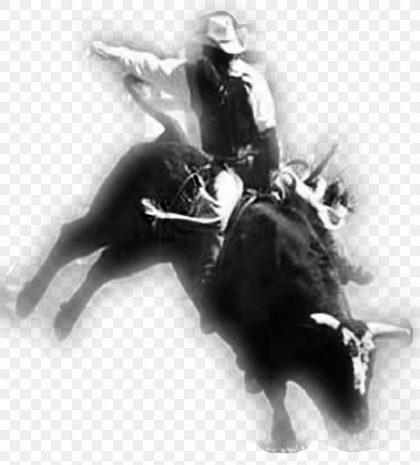 Bull Riding Rodeo Professional Bull Riders Horse, PNG, 864x957px, Bull Riding, Arena, Black And White, Bonner Bolton, Bronc Riding Download Free