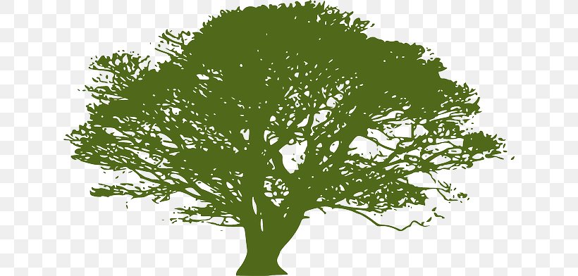 Clip Art Vector Graphics Openclipart Image Tree, PNG, 640x392px, Tree, Branch, Crown, Drawing, Grass Download Free