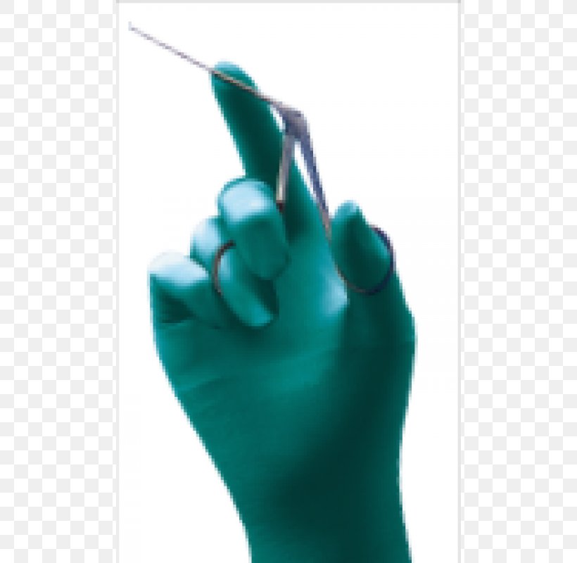 Thumb Medical Glove, PNG, 800x800px, Thumb, Finger, Glove, Hand, Joint Download Free