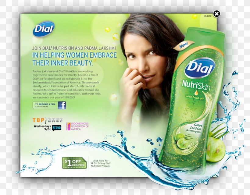 Advertising Slogan Dial Antibacterial Soap, PNG, 1044x816px, Advertising, Advertising Slogan, Antibacterial Soap, Brand, Chloroxylenol Download Free