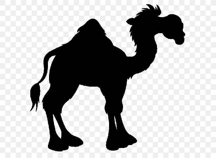 Arabian Peninsula Battle Of The Camel Rashidun Caliphate Battle Of Uhud Banu Taym, PNG, 600x600px, Arabian Peninsula, Abu Bakr, Animal Figure, Arabian Camel, Arabic Language Download Free