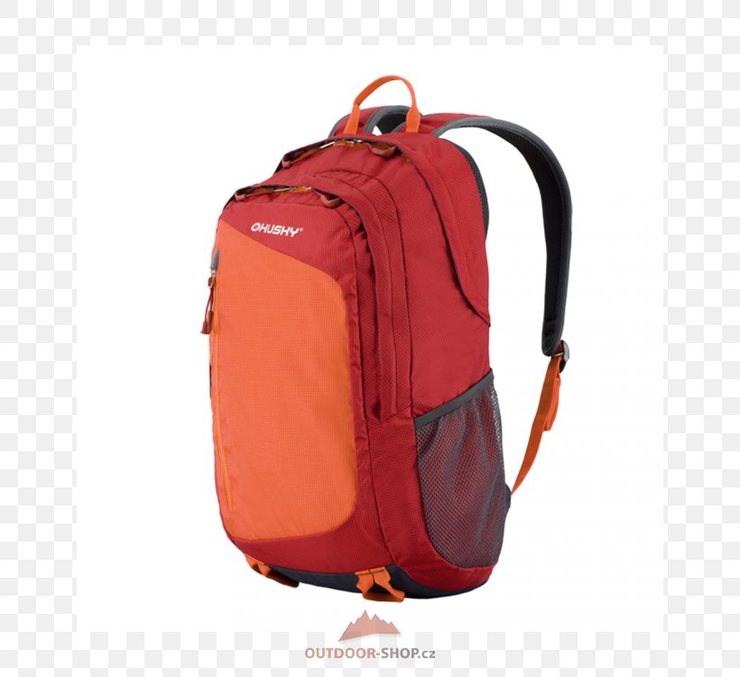 Backpack Bag Hiking Travel Camping, PNG, 750x750px, Backpack, Bag, Baggage, Camping, Hand Luggage Download Free