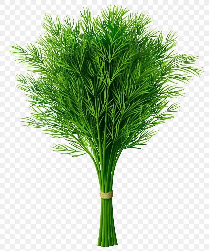 Dill Montrealstyle Smoked Meat Clip Art, PNG, 3426x4121px, Montreal