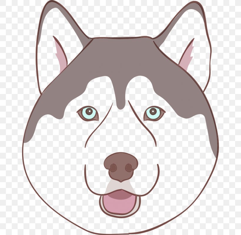 Siberian Husky Puppy Dog Grooming Pug, PNG, 800x800px, Siberian Husky, Carnivoran, Cartoon, Cat, Cat Like Mammal Download Free