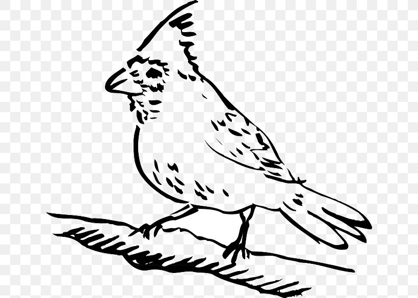 Bird Drawing Columbidae Clip Art, PNG, 640x585px, Bird, Art, Artwork, Beak, Black And White Download Free