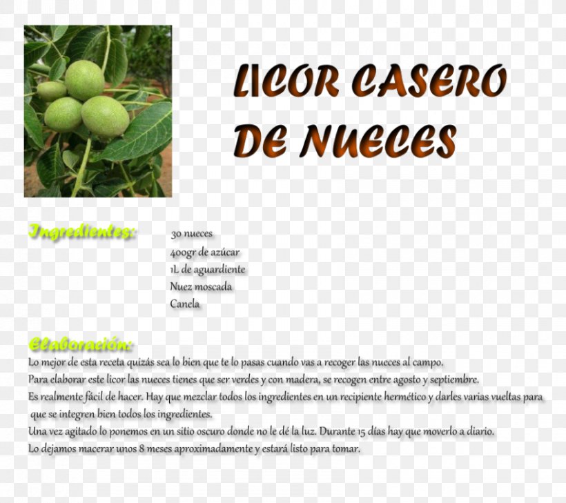 English Walnut Tree Fruit Font, PNG, 850x756px, English Walnut, Food, Fruit, Grass, Juglans Download Free
