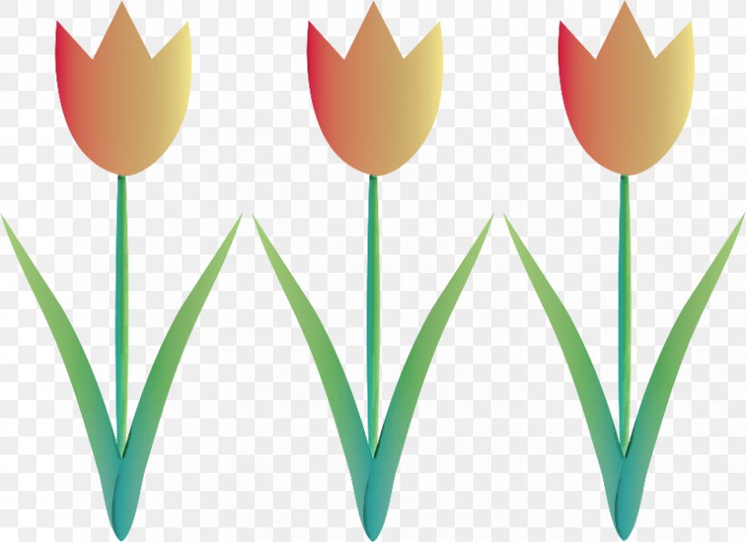 Tulip Clip Art Flower Plant Grass, PNG, 830x604px, Tulip, Flower, Grass, Leaf, Petal Download Free