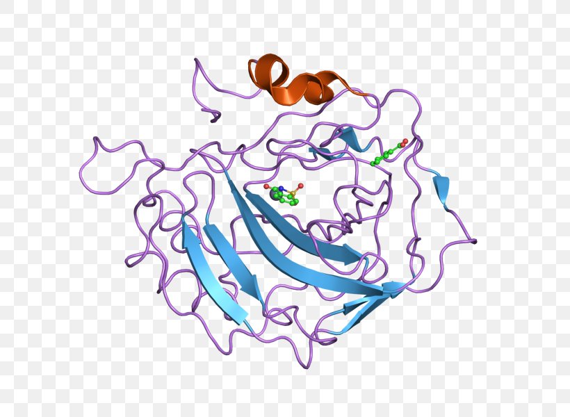 CORO1A Coronin Mitochondrial Apoptosis-induced Channel Clip Art, PNG, 800x600px, Watercolor, Cartoon, Flower, Frame, Heart Download Free