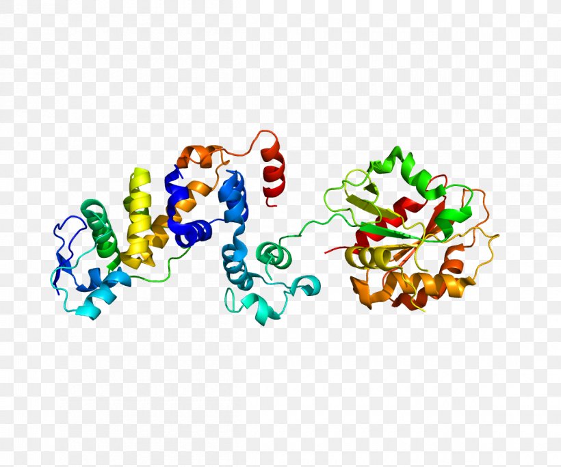 F-box Protein Fbx15 Gene Protein Family, PNG, 1200x1000px, Watercolor, Cartoon, Flower, Frame, Heart Download Free