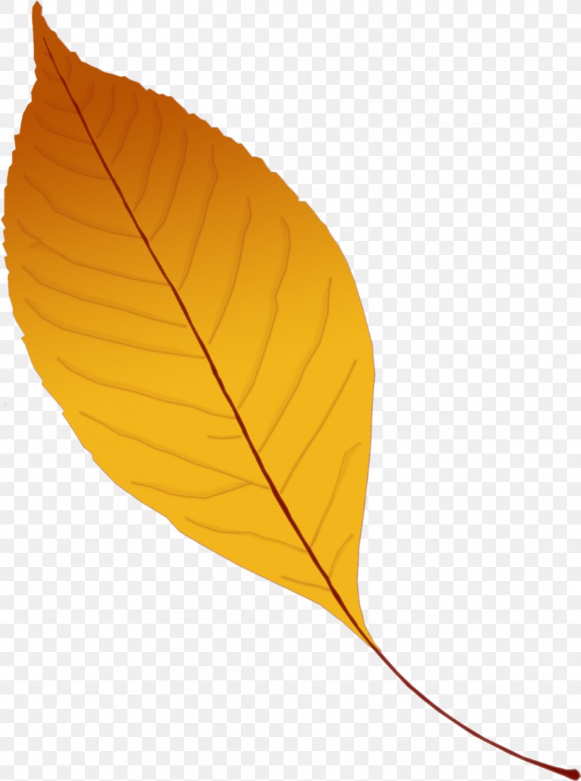 Leaf Yellow Branch Clip Art, PNG, 1043x1402px, Leaf, Author, Branch, Plant, Tree Download Free