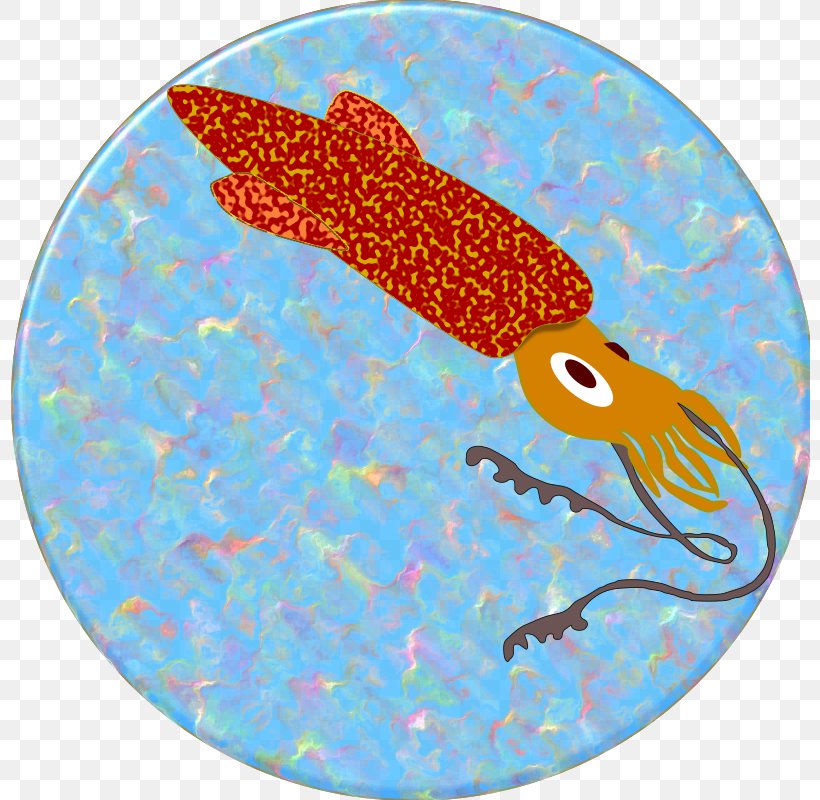 Organism Orange Food, PNG, 800x800px, Squid, Biology, Fish, Food, Invertebrate Download Free