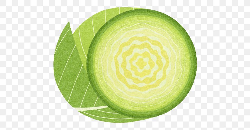Red Cabbage Vegetable Food Illustration, PNG, 600x428px, Cabbage, Art, Avocado, Broccoli, Cucumber Download Free