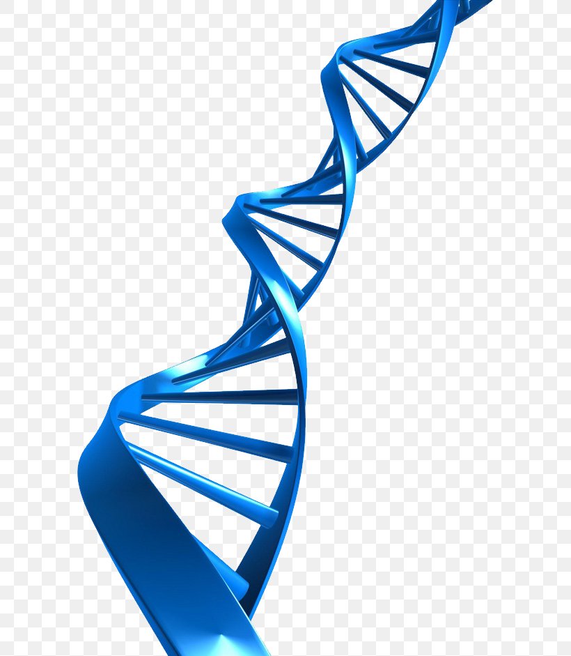 The Double Helix: A Personal Account Of The Discovery Of The Structure Of DNA Nucleic Acid Double Helix Clip Art, PNG, 597x941px, Nucleic Acid Double Helix, Author, Body Jewelry, Book, Can Stock Photo Download Free