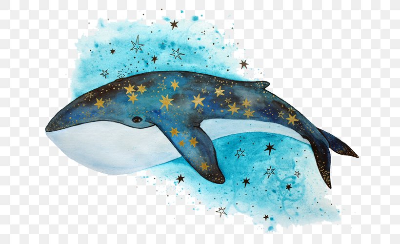 Cetacea Drawing Killer Whale Humpback Whale Whale Watching, PNG, 700x500px, Cetacea, Beluga Whale, Dolphin, Drawing, Fauna Download Free