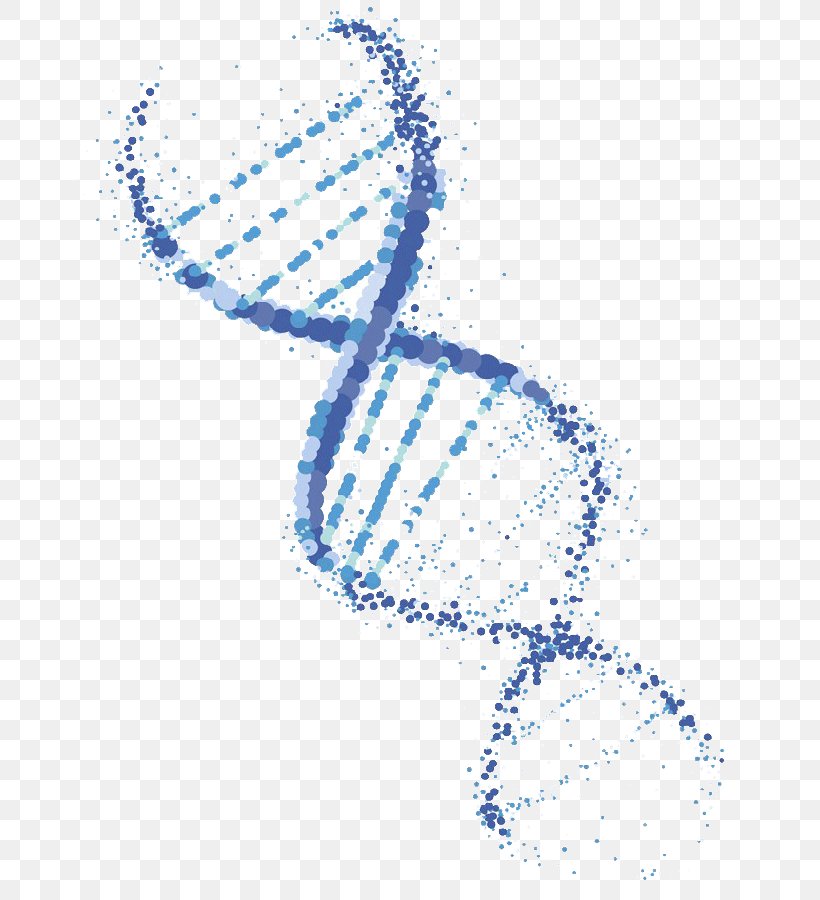 DNA Vector Genetically Modified Organism Genetics, PNG, 708x900px, Dna, Biotechnology, Cell, Chromosome, Dna Extraction Download Free