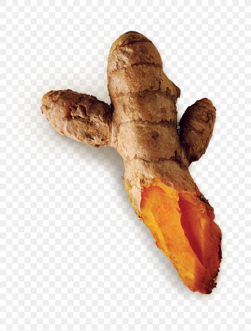 Galangal, PNG, 1470x1940px, Galangal Download Free