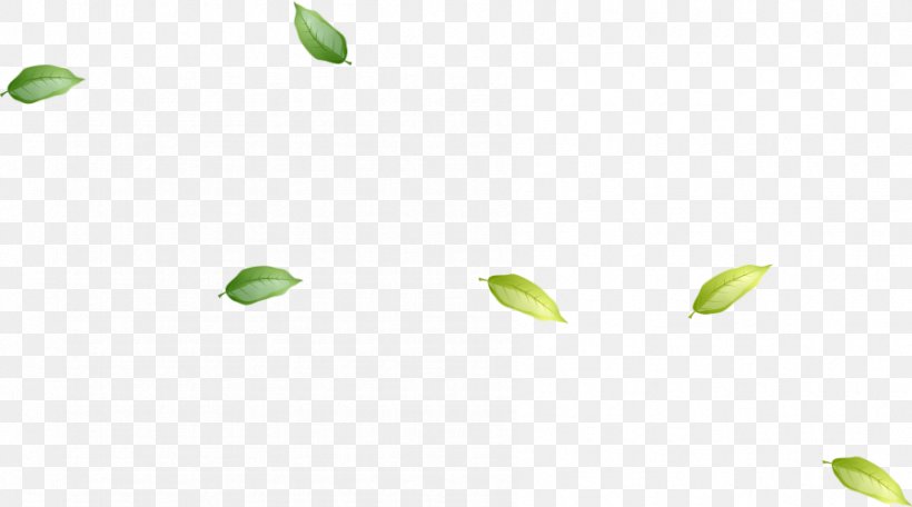 Green Leaves Floating, PNG, 898x500px, Green, Grass, Leaf, Pattern, Product Design Download Free