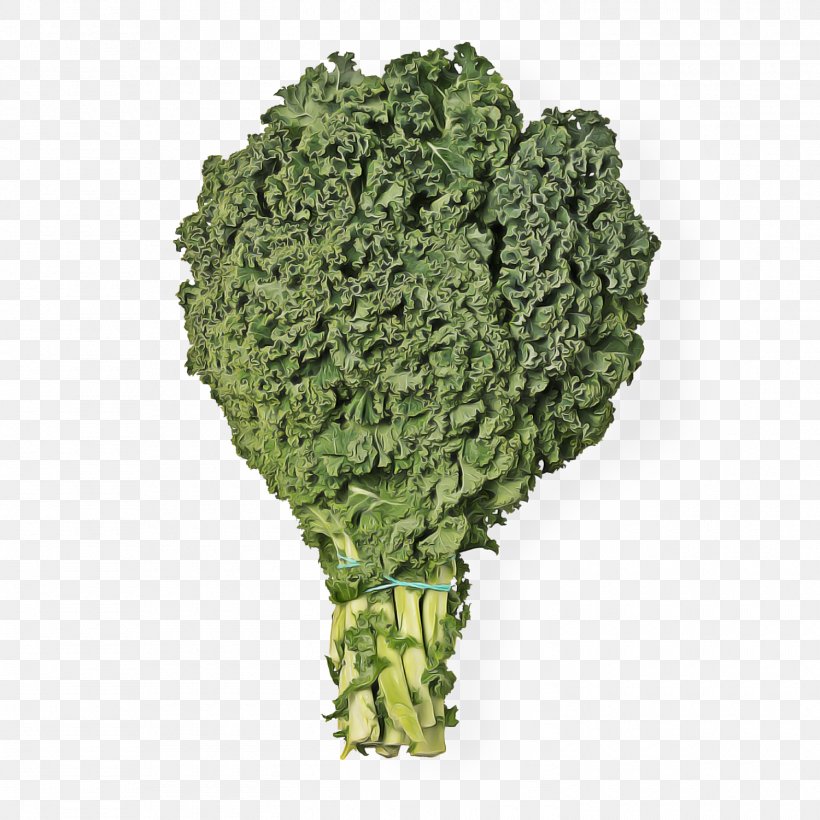 Leaf Vegetable Broccoli Cruciferous Vegetables Plant Vegetable, PNG, 1500x1500px, Leaf Vegetable, Broccoli, Cruciferous Vegetables, Flower, Grass Download Free