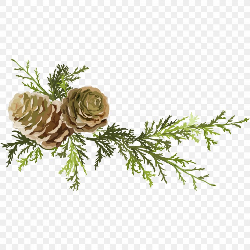 Pine Conifer Cone Leaf, PNG, 4000x4000px, Pine, Branch, Conifer Cone, Floral Design, Floristry Download Free