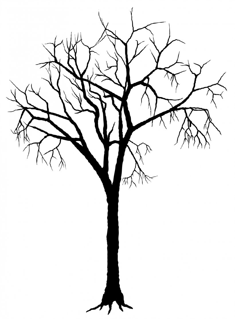 Tree Silhouette Deciduous Clip Art, PNG, 1771x2400px, Tree, Artwork, Black And White, Branch, Deciduous Download Free