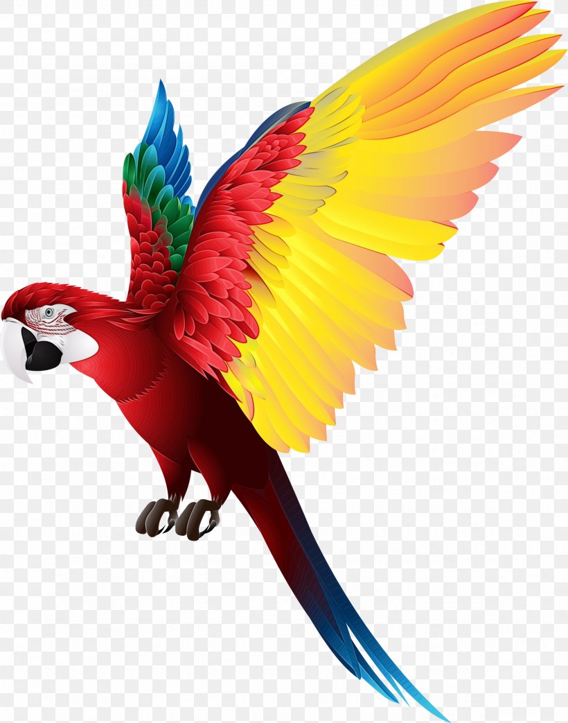 Bird Silhouette, PNG, 2357x2999px, Parrot, Beak, Bird, Bird Flight, Blueandyellow Macaw Download Free