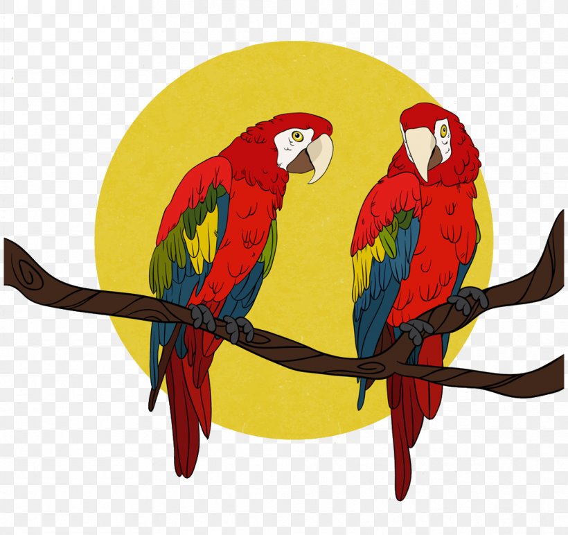 Bird True Parrot Euclidean Vector Macaw Companion Parrot, PNG, 1038x978px, Bird, Art, Beak, Blueandyellow Macaw, Companion Parrot Download Free
