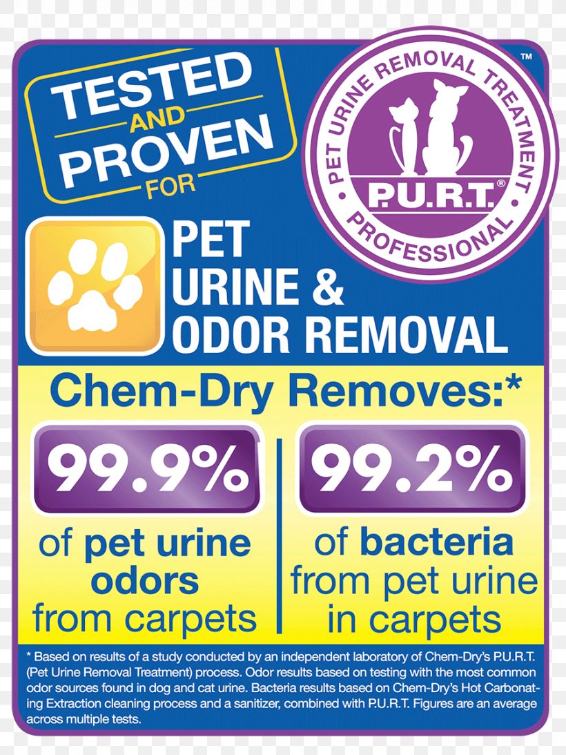 Chem-Dry Carpet Cleaning Cleaner, PNG, 900x1200px, Chemdry, Area, Banner, Brand, Carpet Download Free