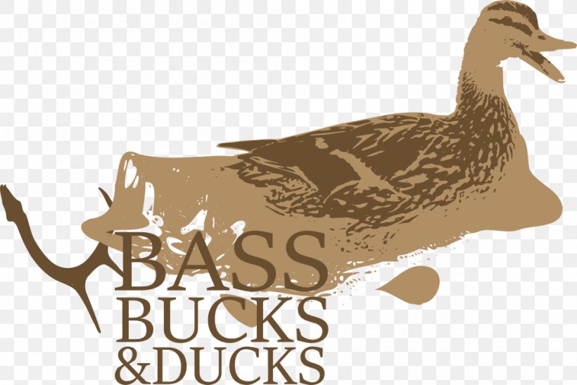 Duck Graphic Design Clip Art Illustration Fauna, PNG, 1000x668px, Duck, Beak, Bird, Ducks Geese And Swans, Fauna Download Free