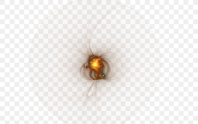 Invertebrate Lighting Orange S.A., PNG, 700x514px, Invertebrate, Lighting, Orange, Orange Sa Download Free