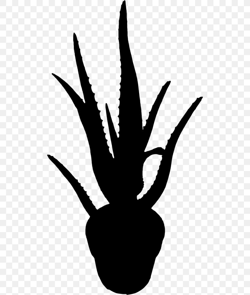 Leaf Clip Art Silhouette Flower, PNG, 512x966px, Leaf, Aloe, Blackandwhite, Flower, Perennial Plant Download Free