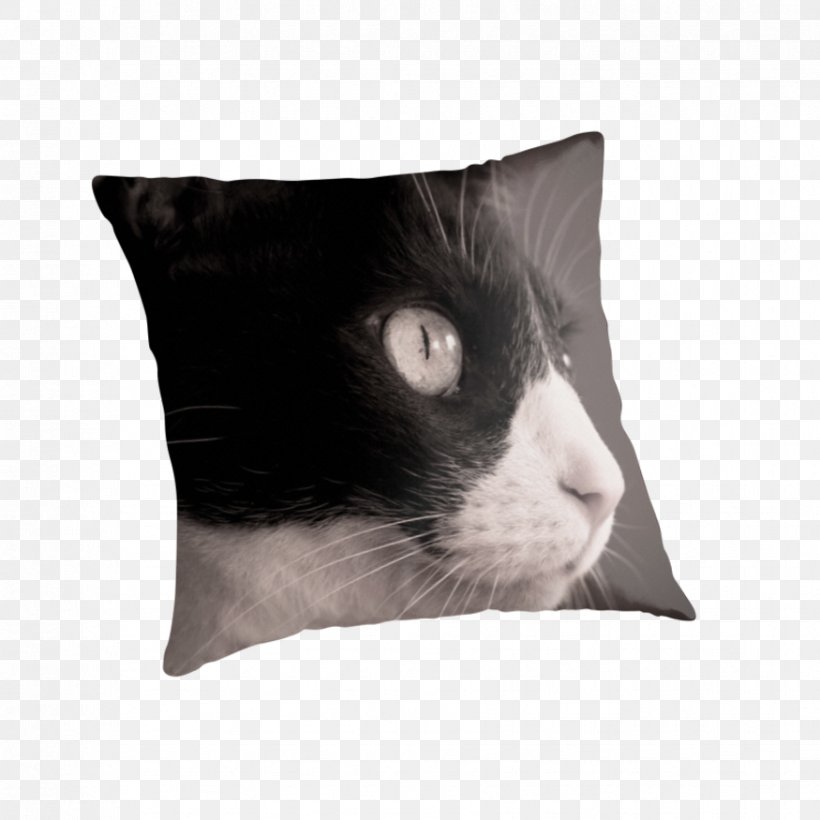 Throw Pillows Cushion Blanket Down Feather, PNG, 875x875px, Throw Pillows, Bed, Bed Sheets, Bedroom, Black Cat Download Free
