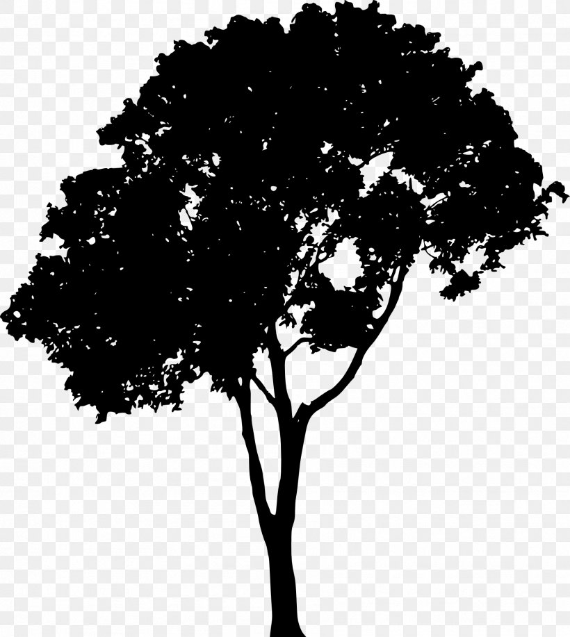 Tree Silhouette Clip Art, PNG, 1788x2000px, Tree, Black And White, Branch, Drawing, Flowering Plant Download Free